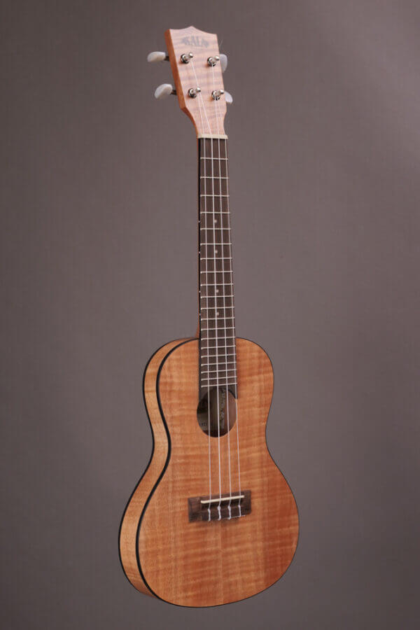 Kala Exotic Mahogany Travel Concert - Image 2