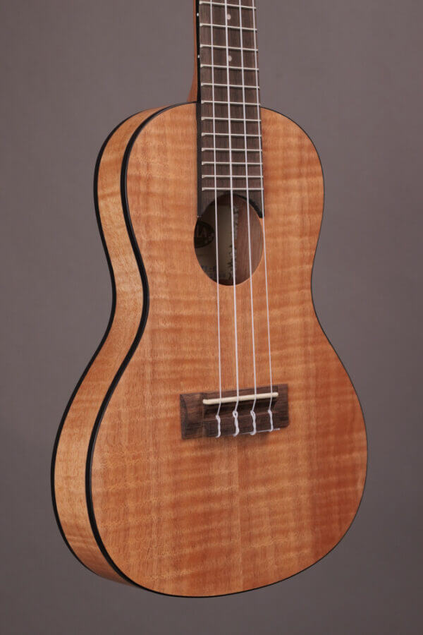 Kala Exotic Mahogany Travel Concert