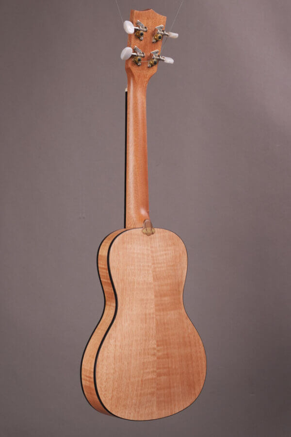 Kala Exotic Mahogany Travel Concert - Image 4