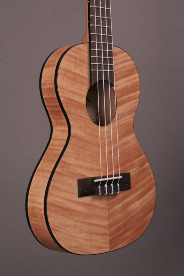 Kala Exotic Mahogany Travel Tenor