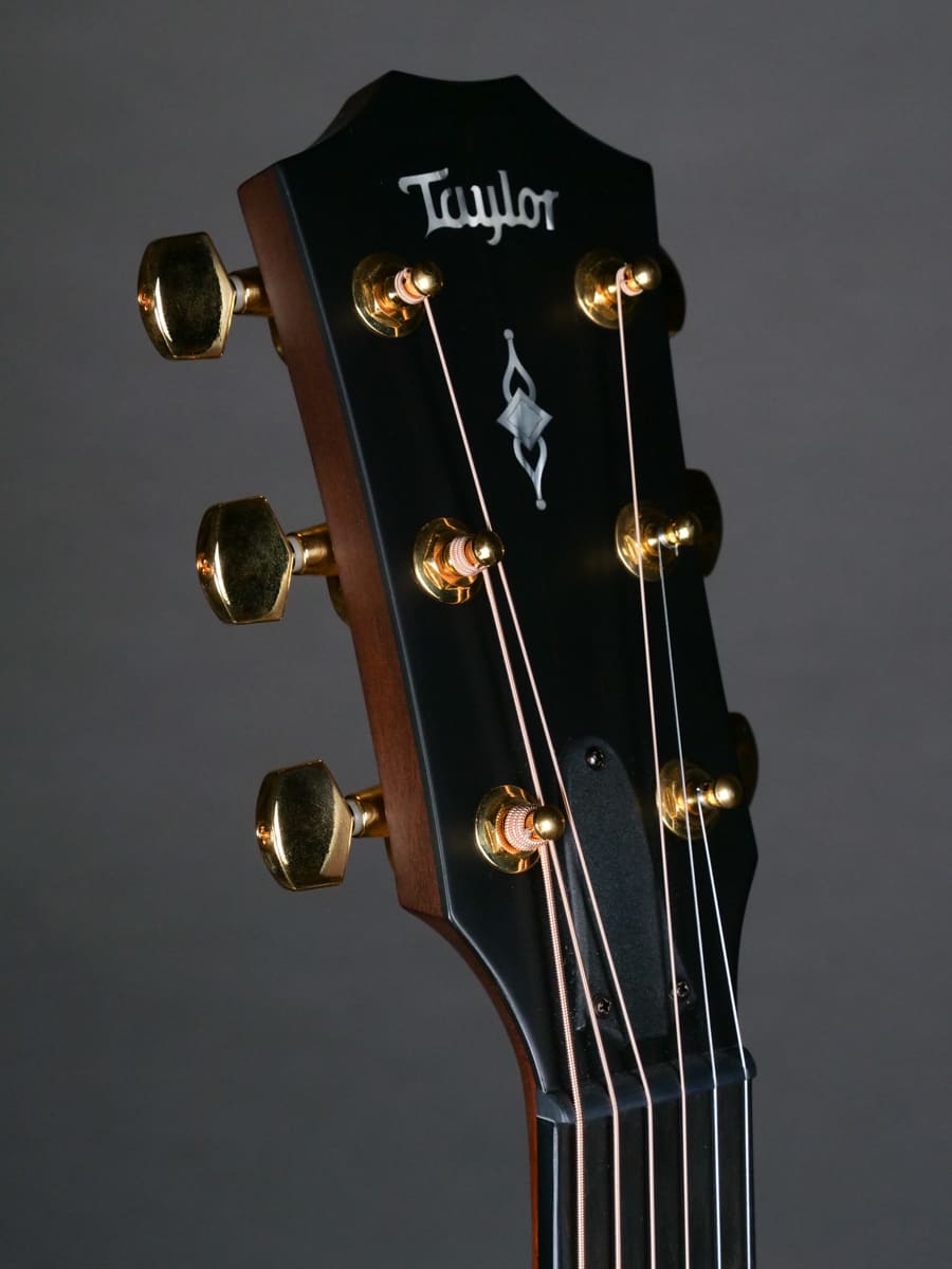 Taylor 50th Anniversary 314ce LTD - Image 10