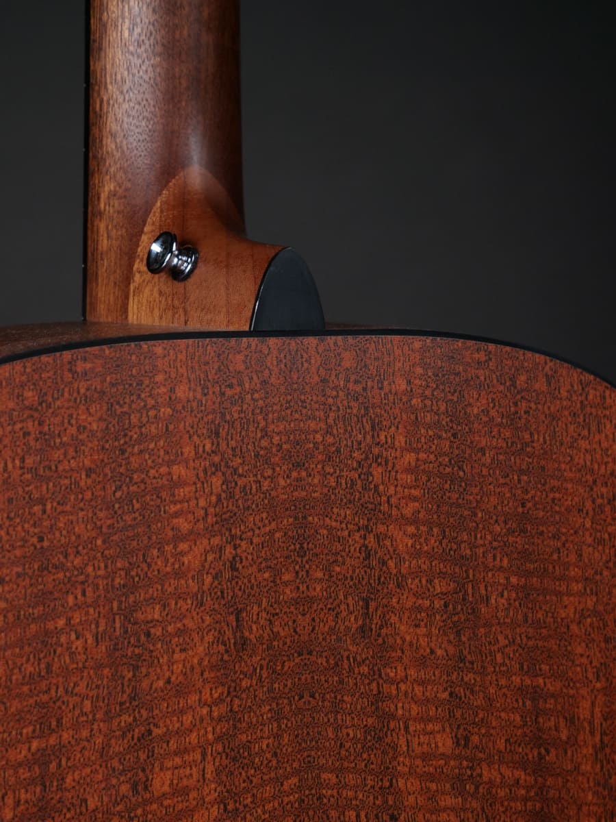 Martin D-X2E Molly Tuttle - Image 5